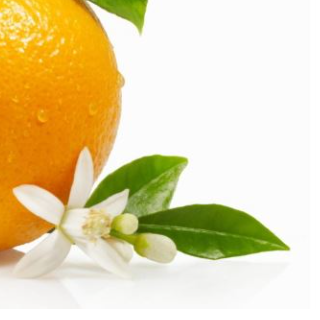 Olio essenziale di arancia